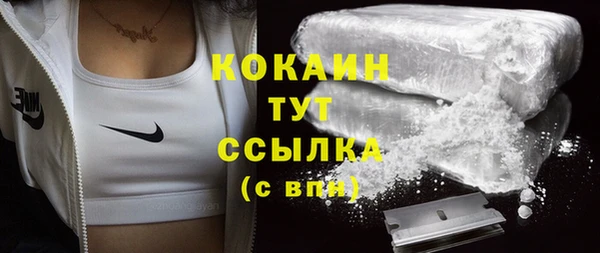 ешки Арсеньев
