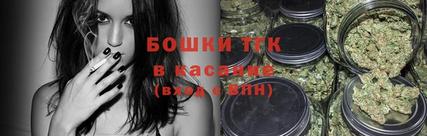 ешки Арсеньев