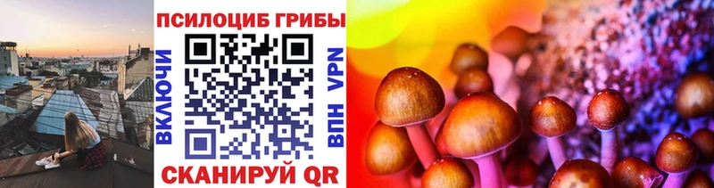 блэк спрут маркетплейс  Сосногорск  Галлюциногенные грибы Cubensis  нарко площадка Telegram  купить наркотик 